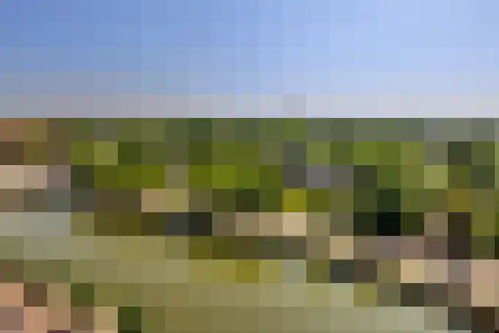 Badhuiskade 117 Amsterdam thumbnail 31