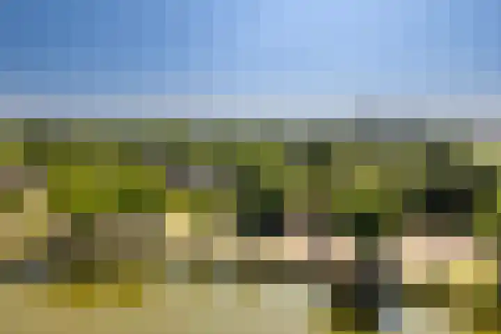 Badhuiskade 117 Amsterdam thumbnail 32