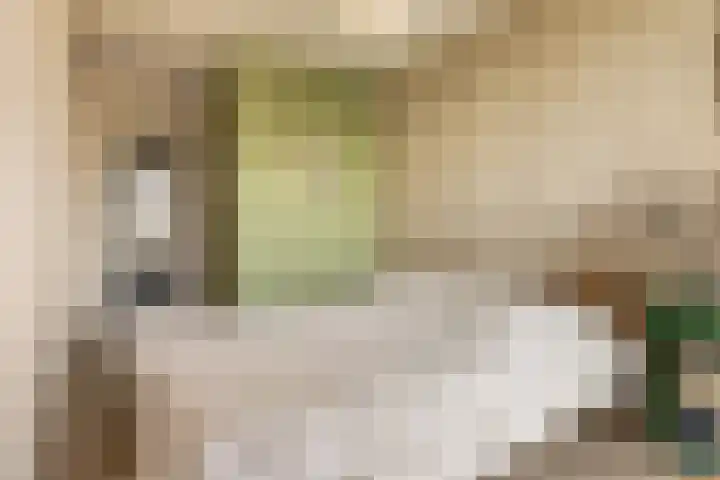 Badhuiskade 117 Amsterdam thumbnail 38
