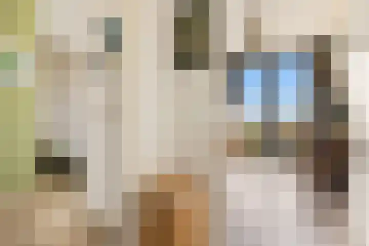 Badhuiskade 117 Amsterdam thumbnail 45