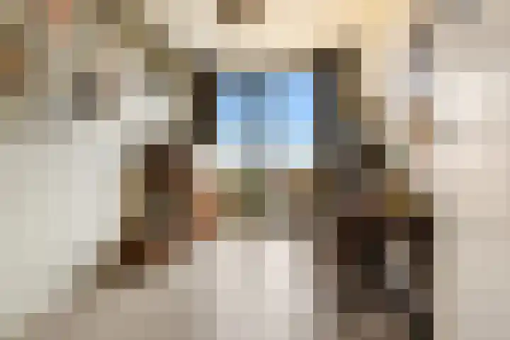 Badhuiskade 117 Amsterdam thumbnail 46