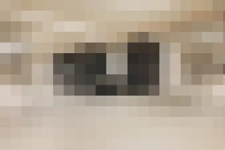 Badhuiskade 117 Amsterdam thumbnail 51
