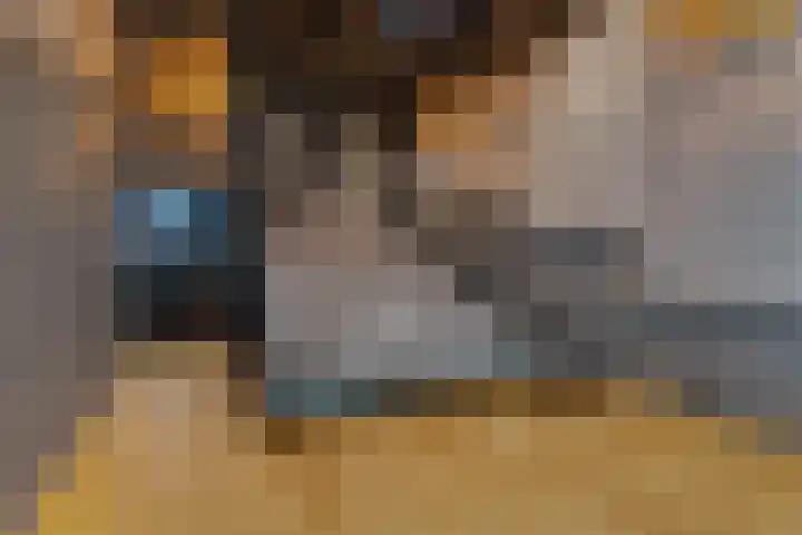 Badhuiskade 117 Amsterdam thumbnail 54