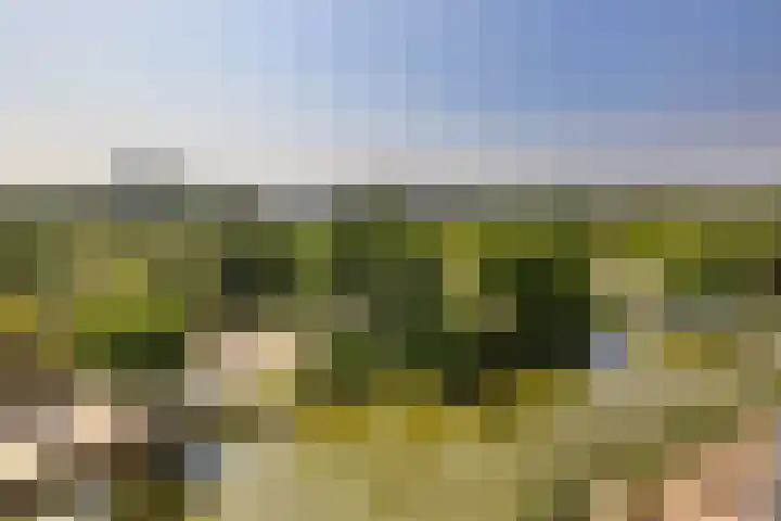 Badhuiskade 117 Amsterdam thumbnail 6