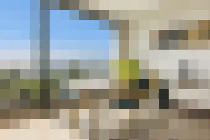 Badhuiskade 117 Amsterdam thumbnail 65