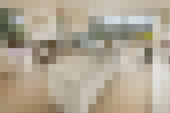 Badhuiskade 117 Amsterdam thumbnail 8