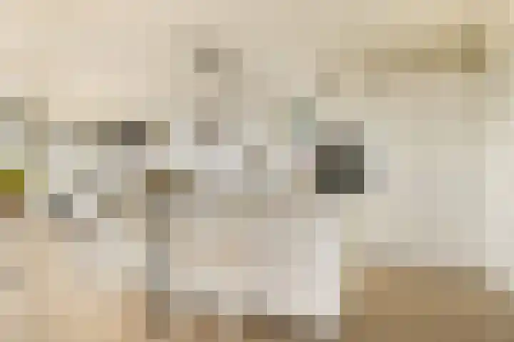 Badhuiskade 117 Amsterdam thumbnail 9