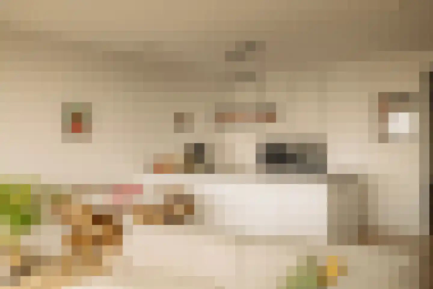 Badhuiskade 137 Amsterdam thumbnail 12