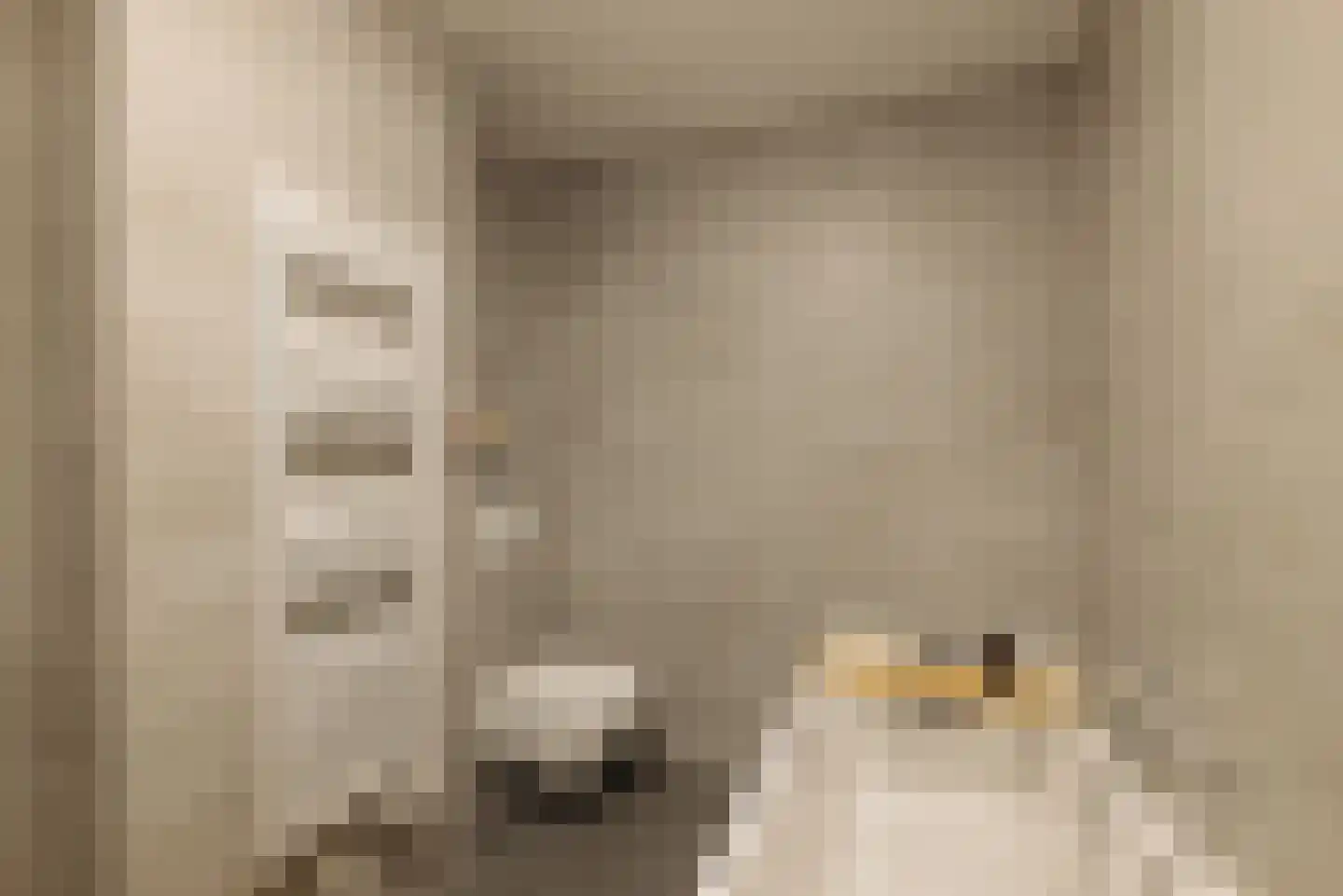 Badhuiskade 137 Amsterdam thumbnail 17