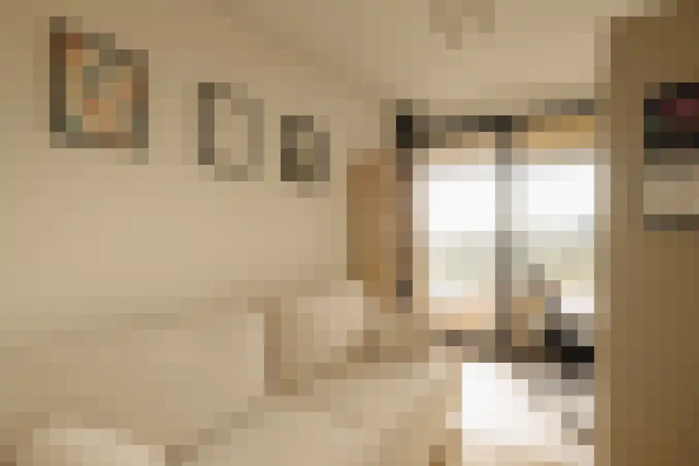 Badhuiskade 137 Amsterdam thumbnail 18