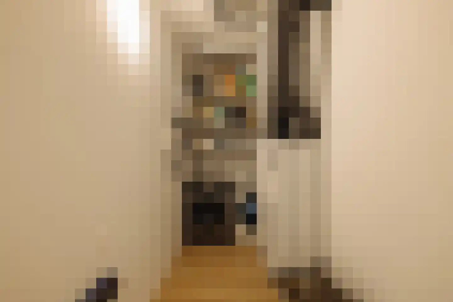 Badhuiskade 137 Amsterdam thumbnail 23