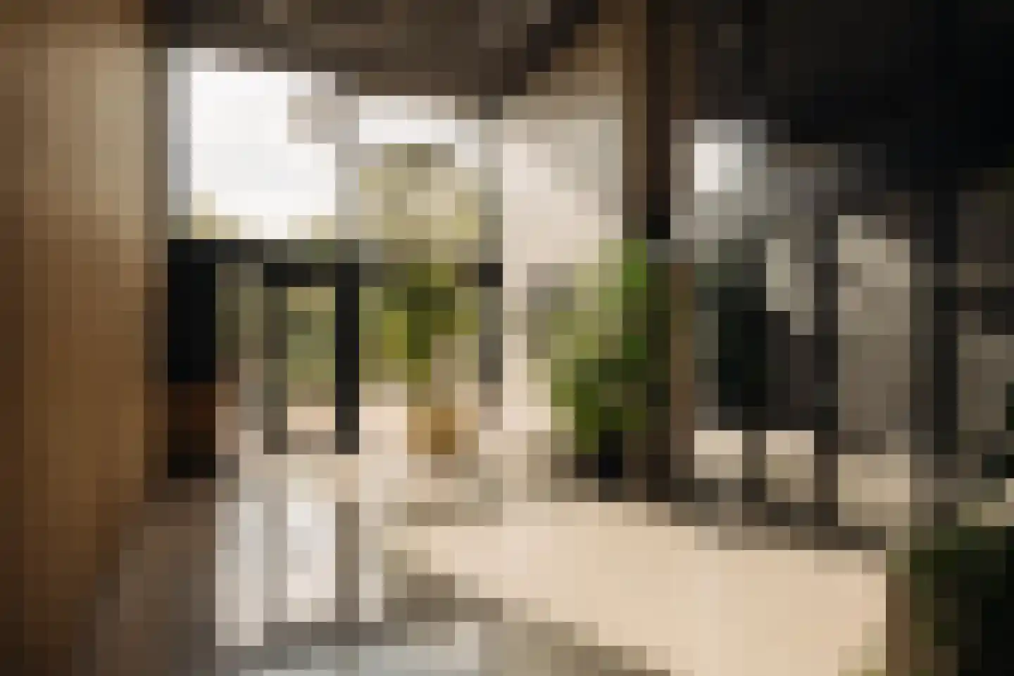 Badhuiskade 137 Amsterdam thumbnail 24