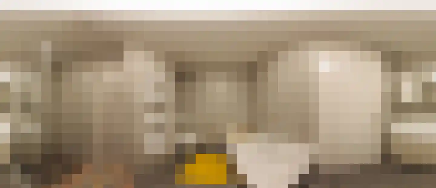 Badhuiskade 137 Amsterdam thumbnail 32