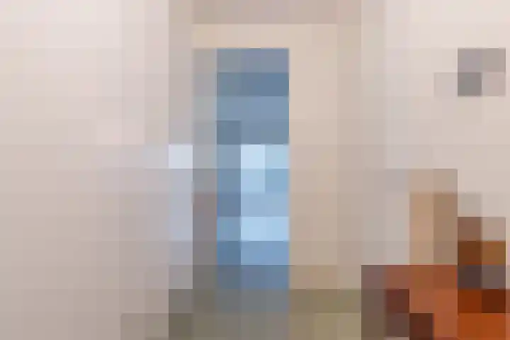 Badhuiskade 177 Amsterdam thumbnail 10