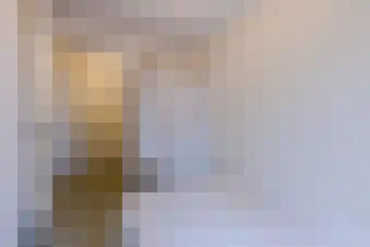 Badhuiskade 177 Amsterdam thumbnail 25