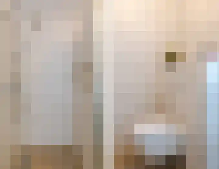 Badhuiskade 177 Amsterdam thumbnail 27