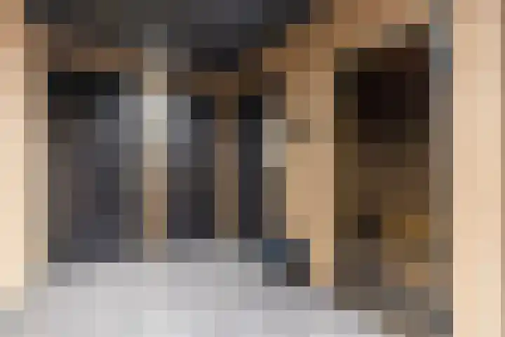 Badhuiskade 177 Amsterdam thumbnail 29