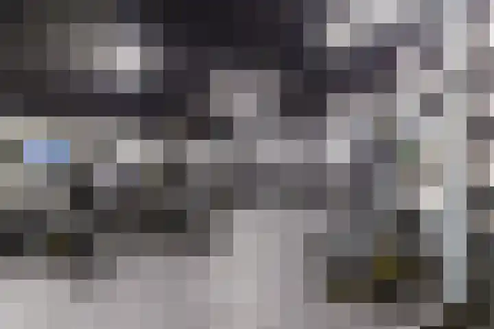 Badhuiskade 177 Amsterdam thumbnail 39