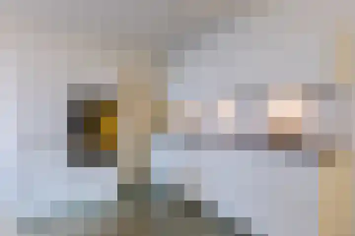 Badhuiskade 177 Amsterdam thumbnail 4