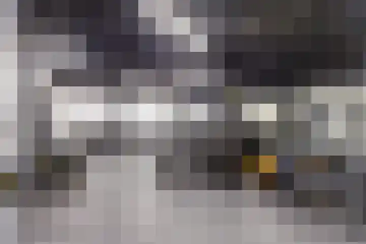 Badhuiskade 177 Amsterdam thumbnail 40