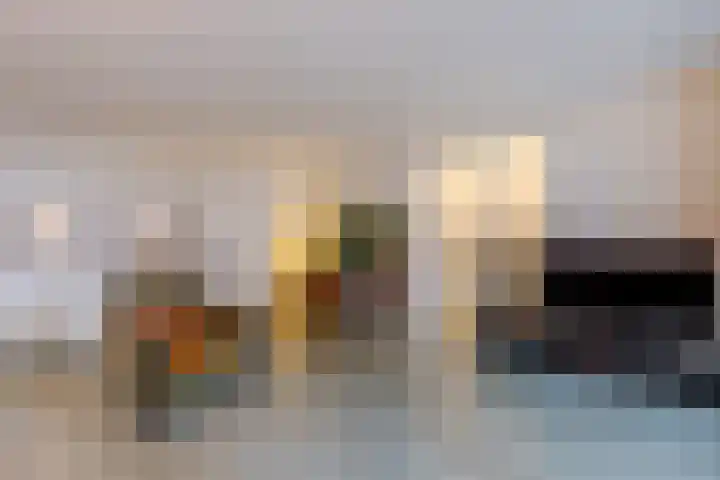 Badhuiskade 177 Amsterdam thumbnail 8