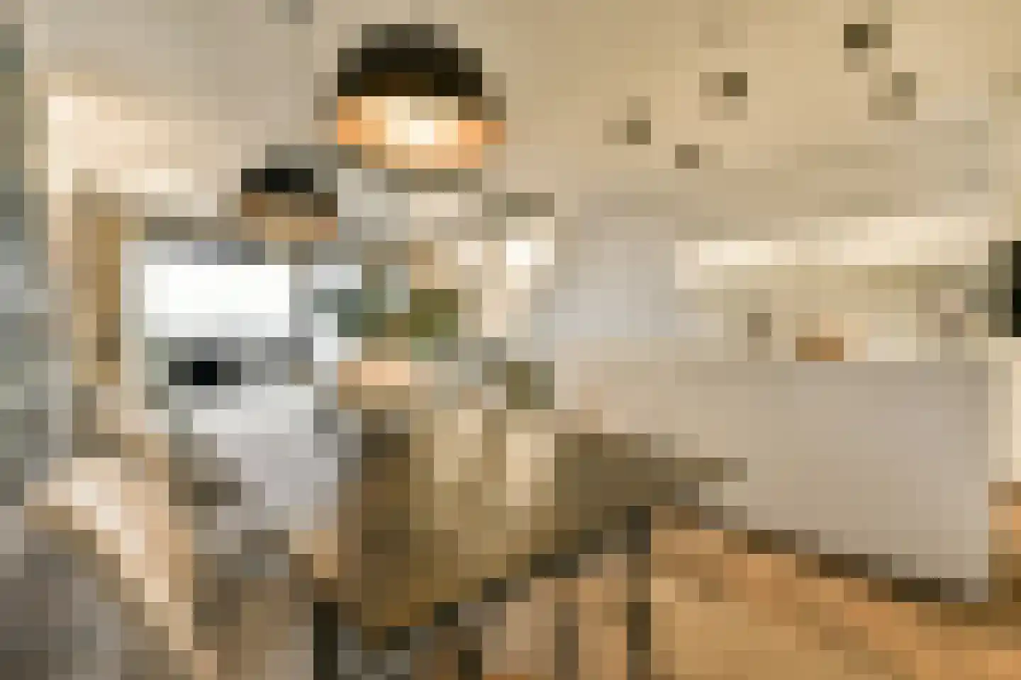 Badhuiskade 181 Amsterdam thumbnail 10