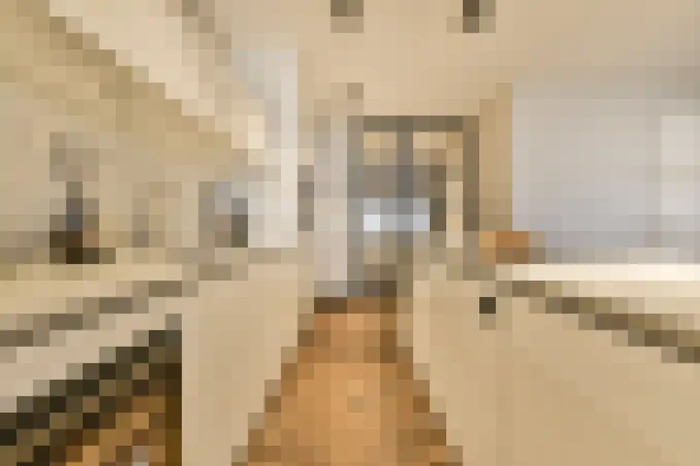 Badhuiskade 181 Amsterdam thumbnail 11