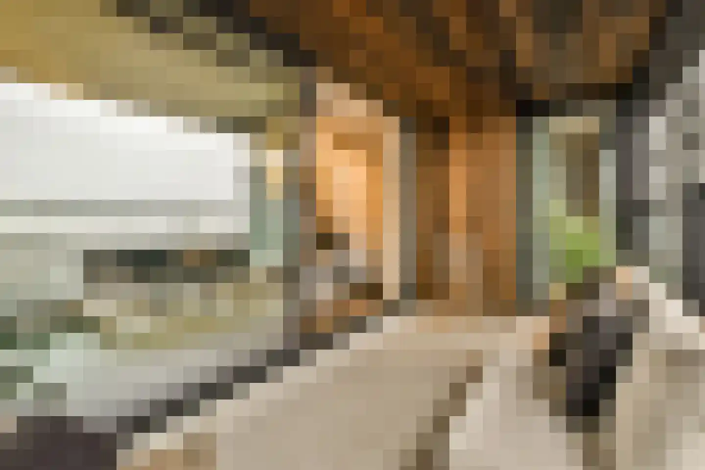 Badhuiskade 181 Amsterdam thumbnail 15