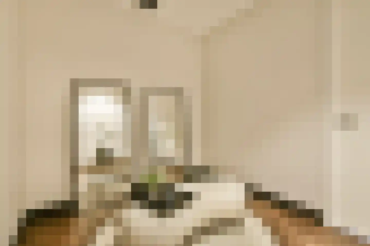 Badhuiskade 181 Amsterdam thumbnail 19