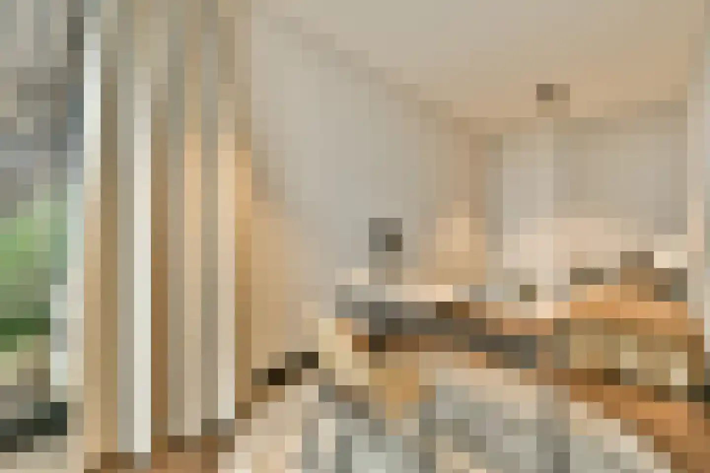Badhuiskade 181 Amsterdam thumbnail 21