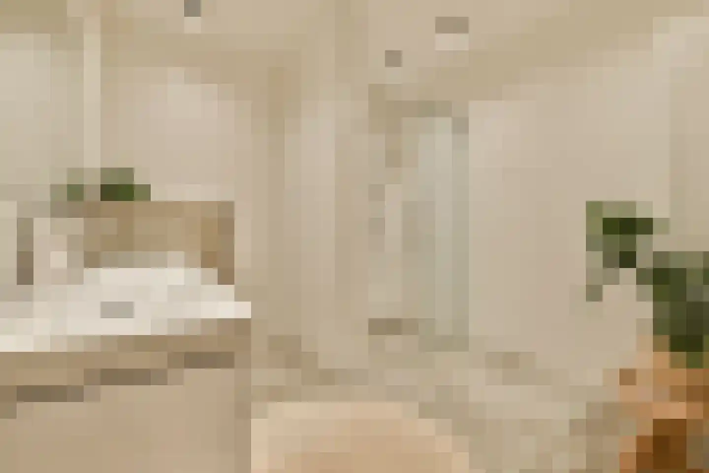Badhuiskade 181 Amsterdam thumbnail 22