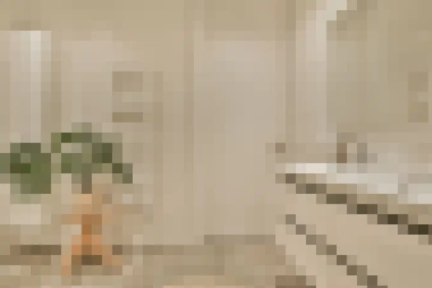 Badhuiskade 181 Amsterdam thumbnail 24