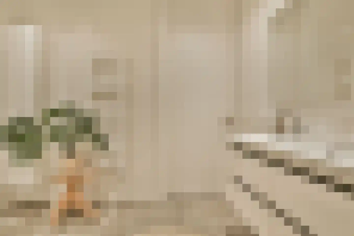Badhuiskade 181 Amsterdam thumbnail 25