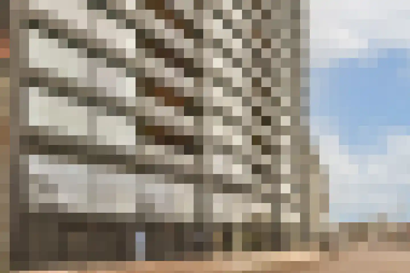 Badhuiskade 181 Amsterdam thumbnail 27