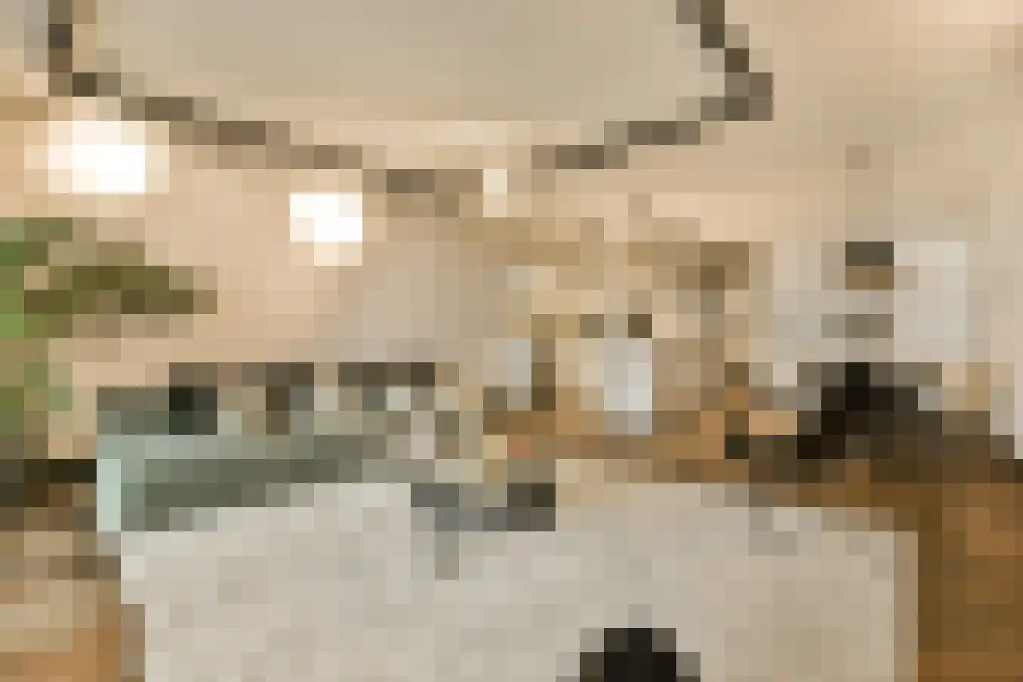 Badhuiskade 181 Amsterdam thumbnail 4