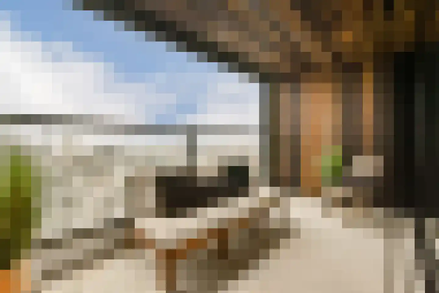 Badhuiskade 181 Amsterdam thumbnail 5