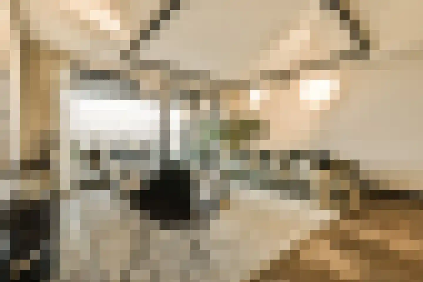 Badhuiskade 181 Amsterdam thumbnail 7