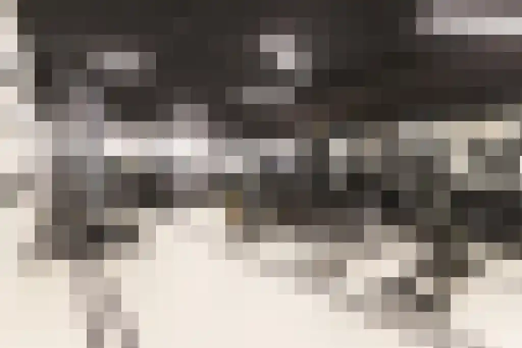 Badhuiskade 183 Amsterdam thumbnail 5
