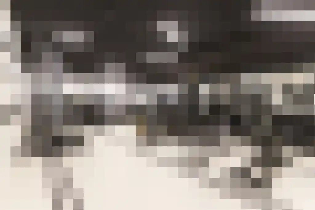 Badhuiskade 183 Amsterdam thumbnail 5
