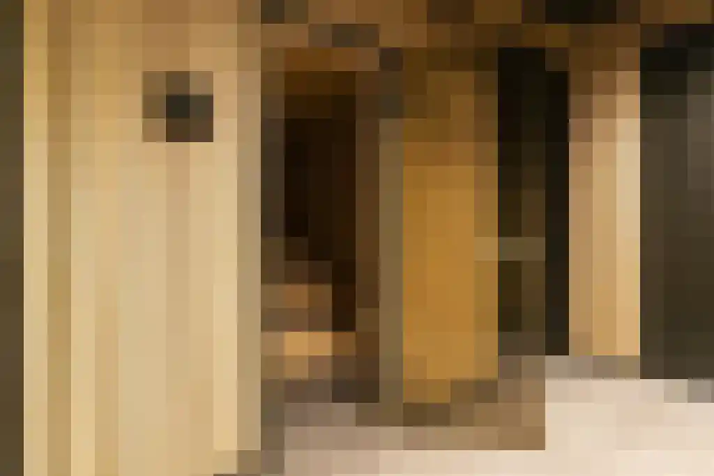 Badhuiskade 183 Amsterdam thumbnail 6