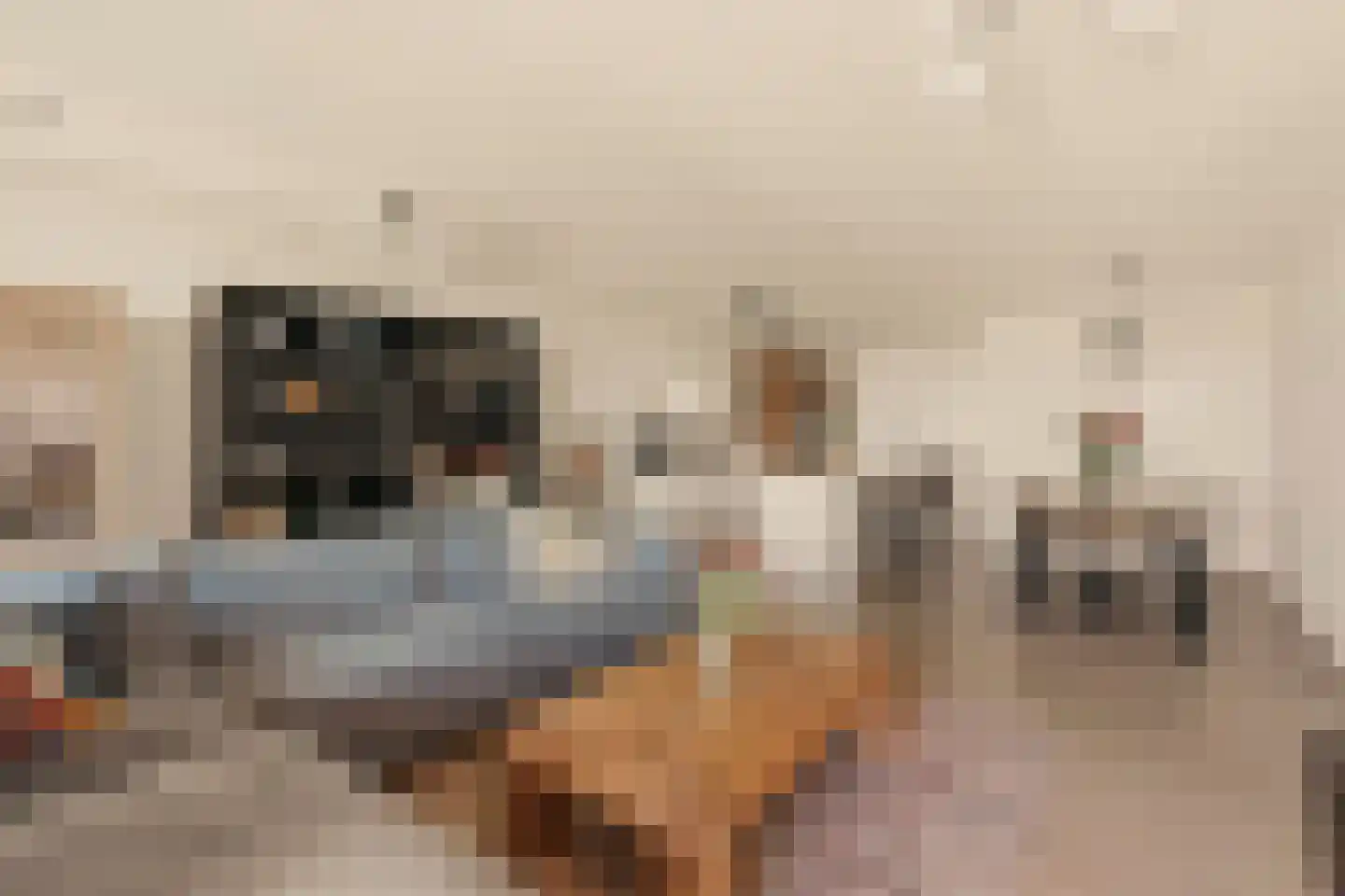 Badhuiskade 217 Amsterdam thumbnail 10