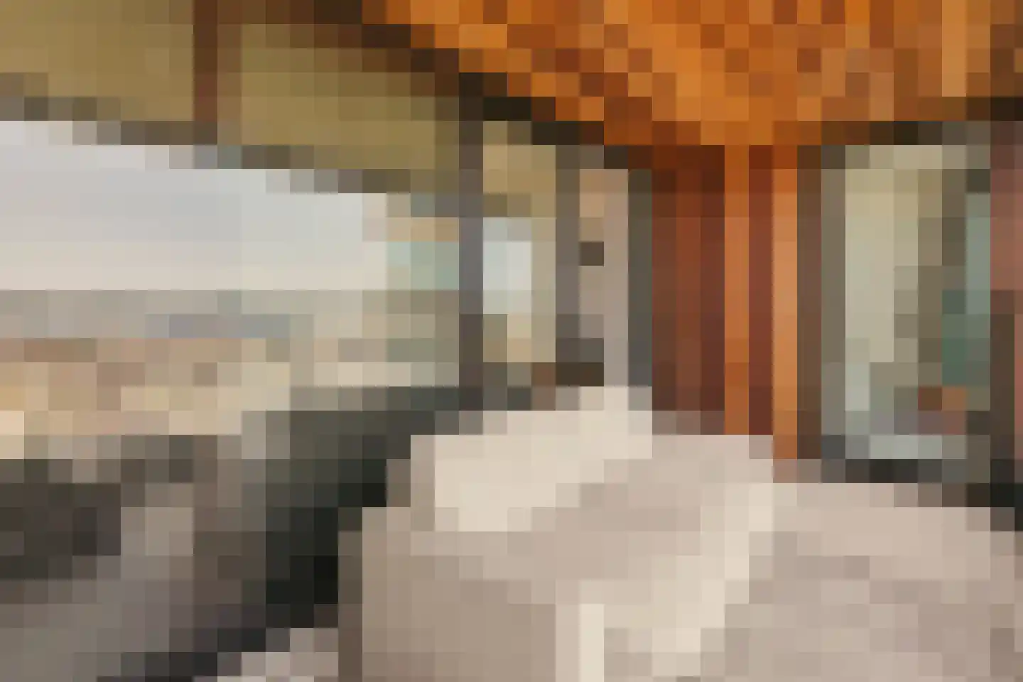 Badhuiskade 217 Amsterdam thumbnail 12