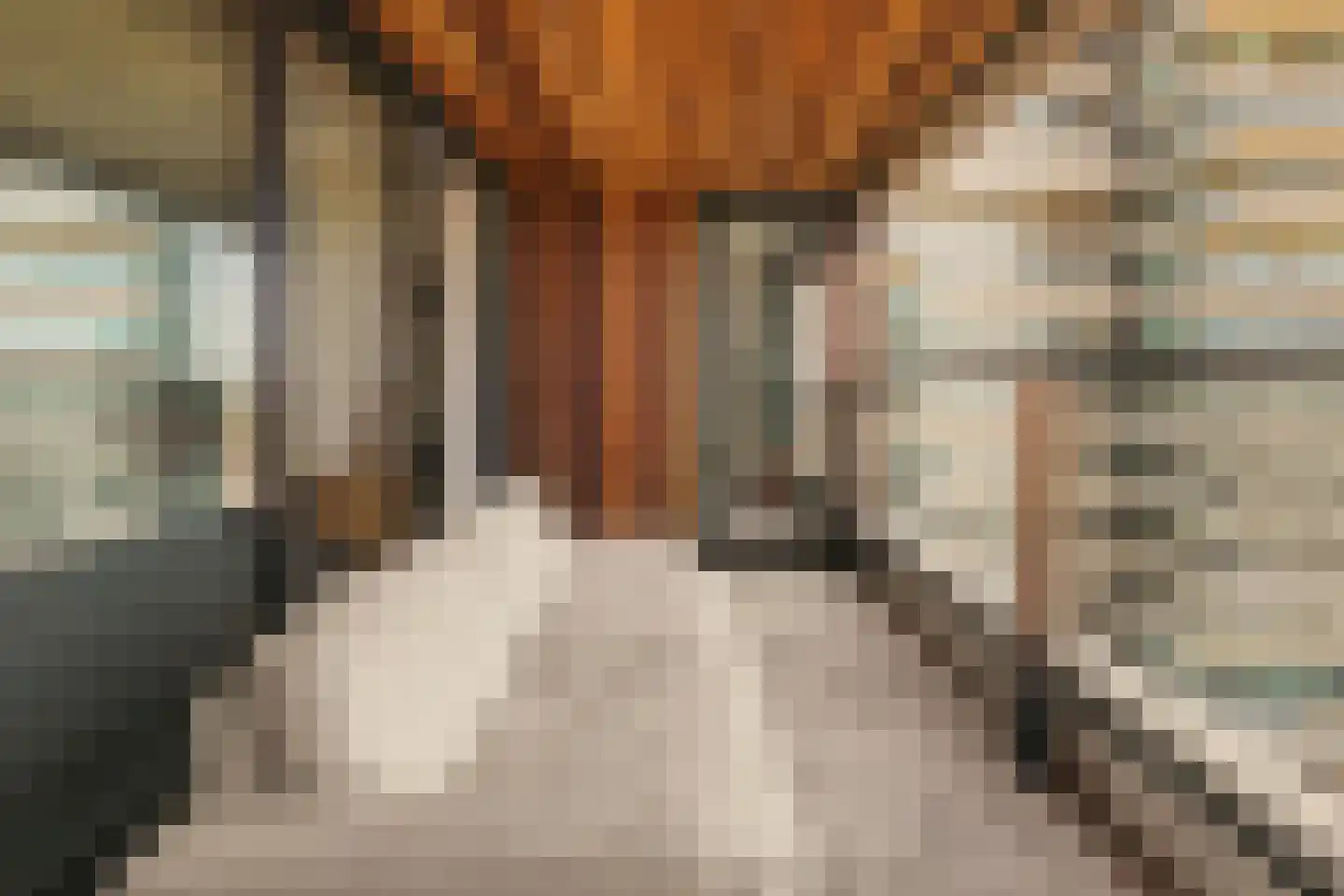 Badhuiskade 217 Amsterdam thumbnail 13