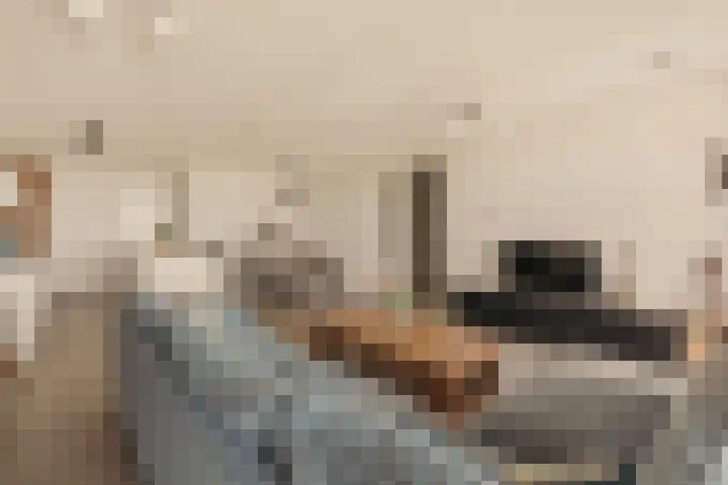 Badhuiskade 217 Amsterdam thumbnail 16