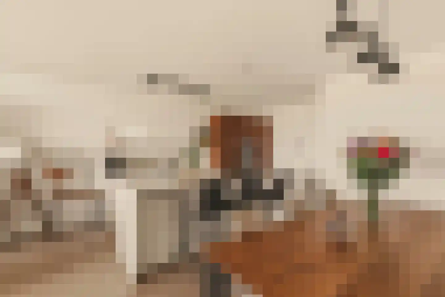Badhuiskade 217 Amsterdam thumbnail 18