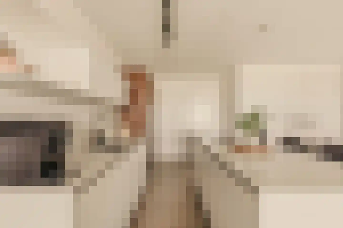 Badhuiskade 217 Amsterdam thumbnail 21