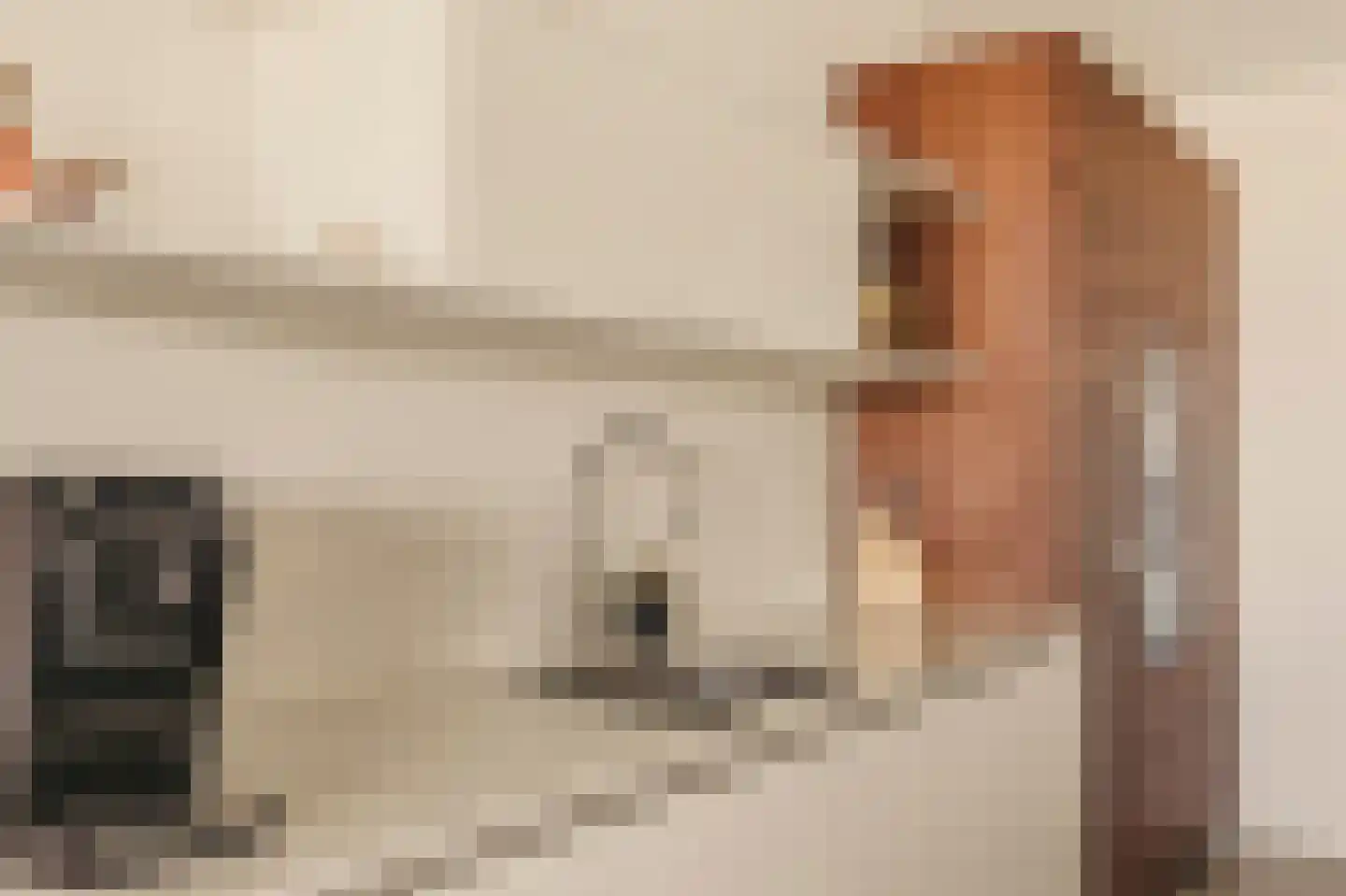 Badhuiskade 217 Amsterdam thumbnail 22