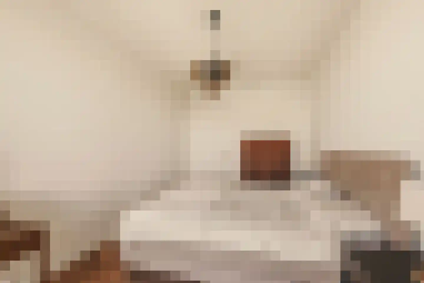 Badhuiskade 217 Amsterdam thumbnail 26