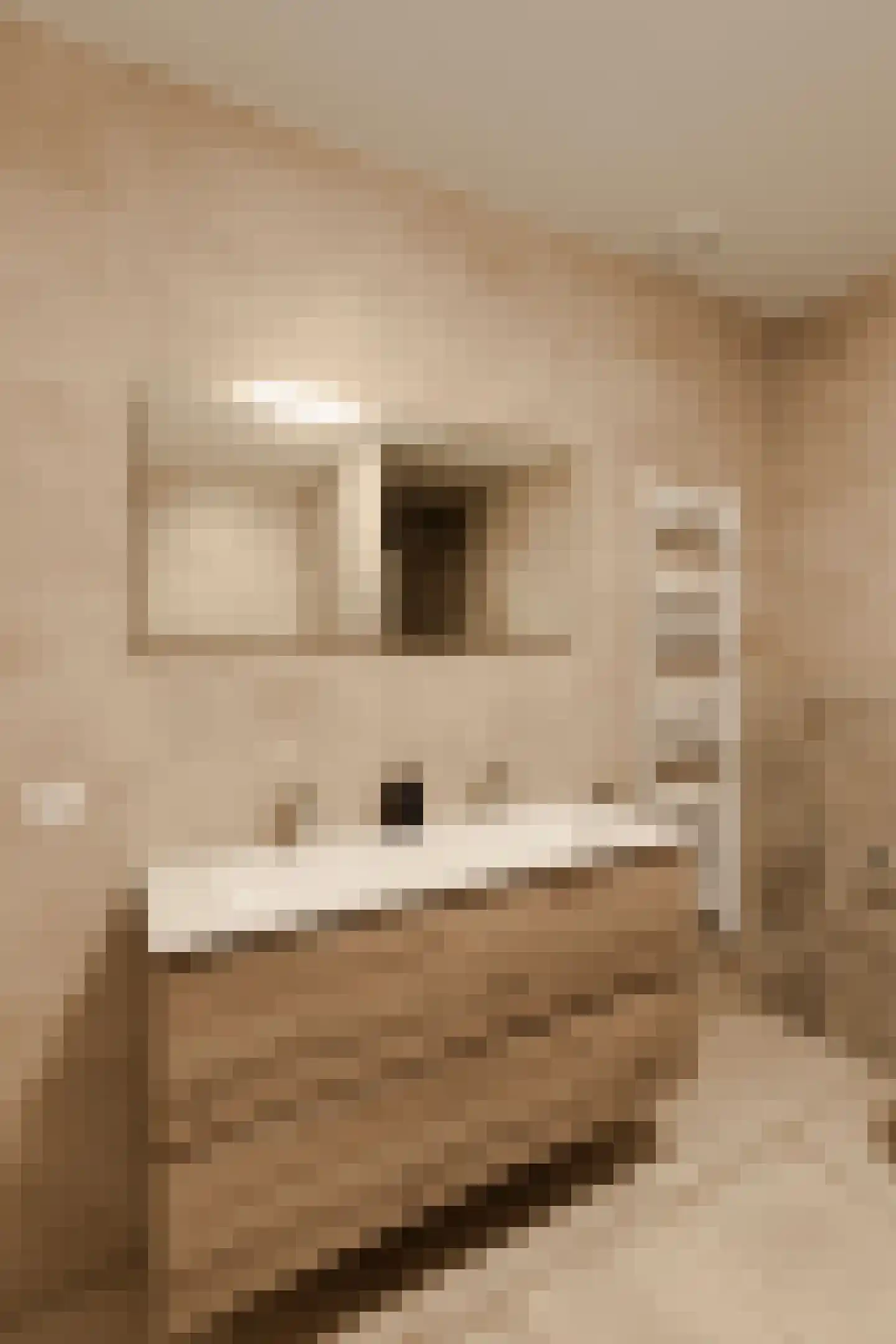Badhuiskade 217 Amsterdam thumbnail 28