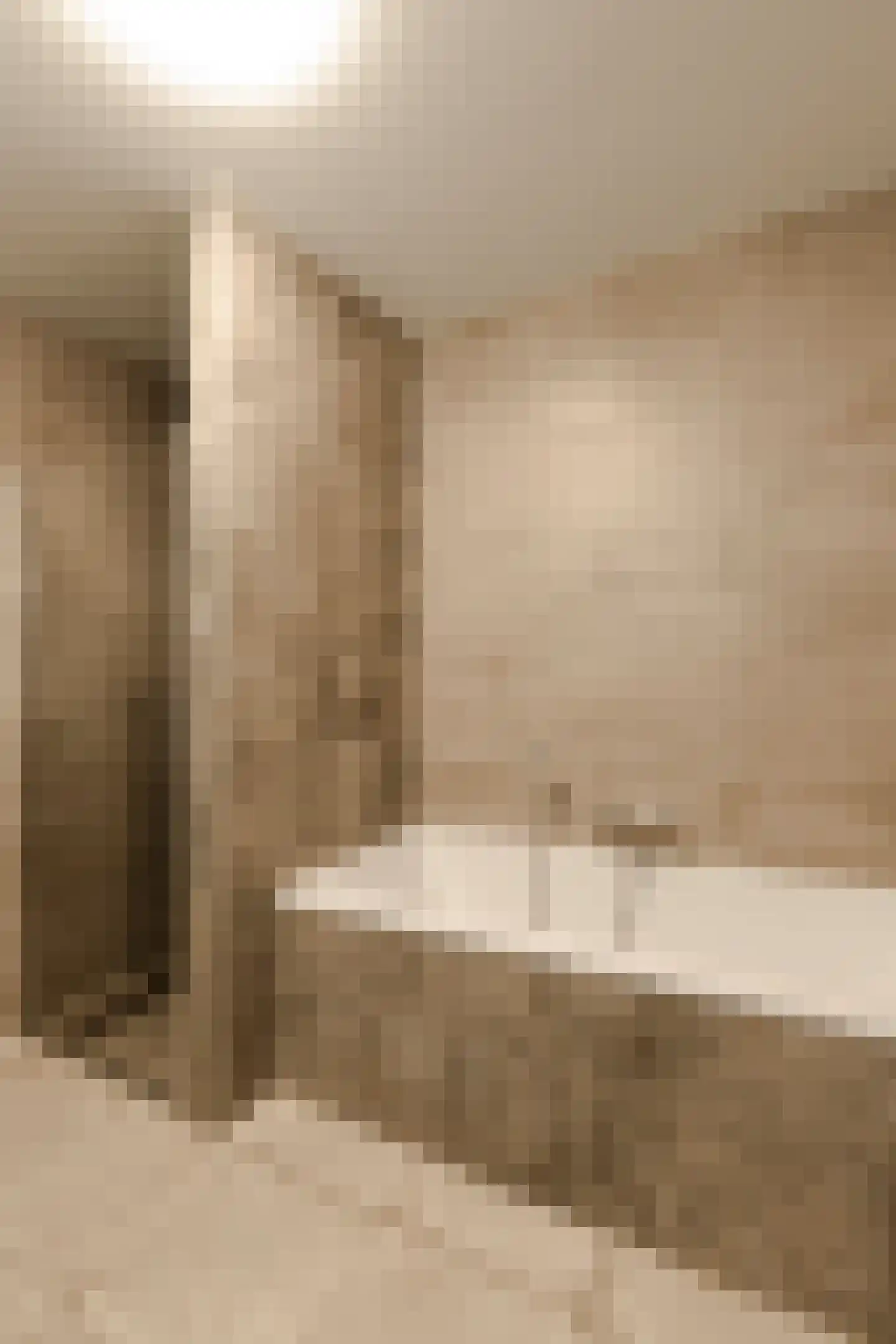 Badhuiskade 217 Amsterdam thumbnail 29